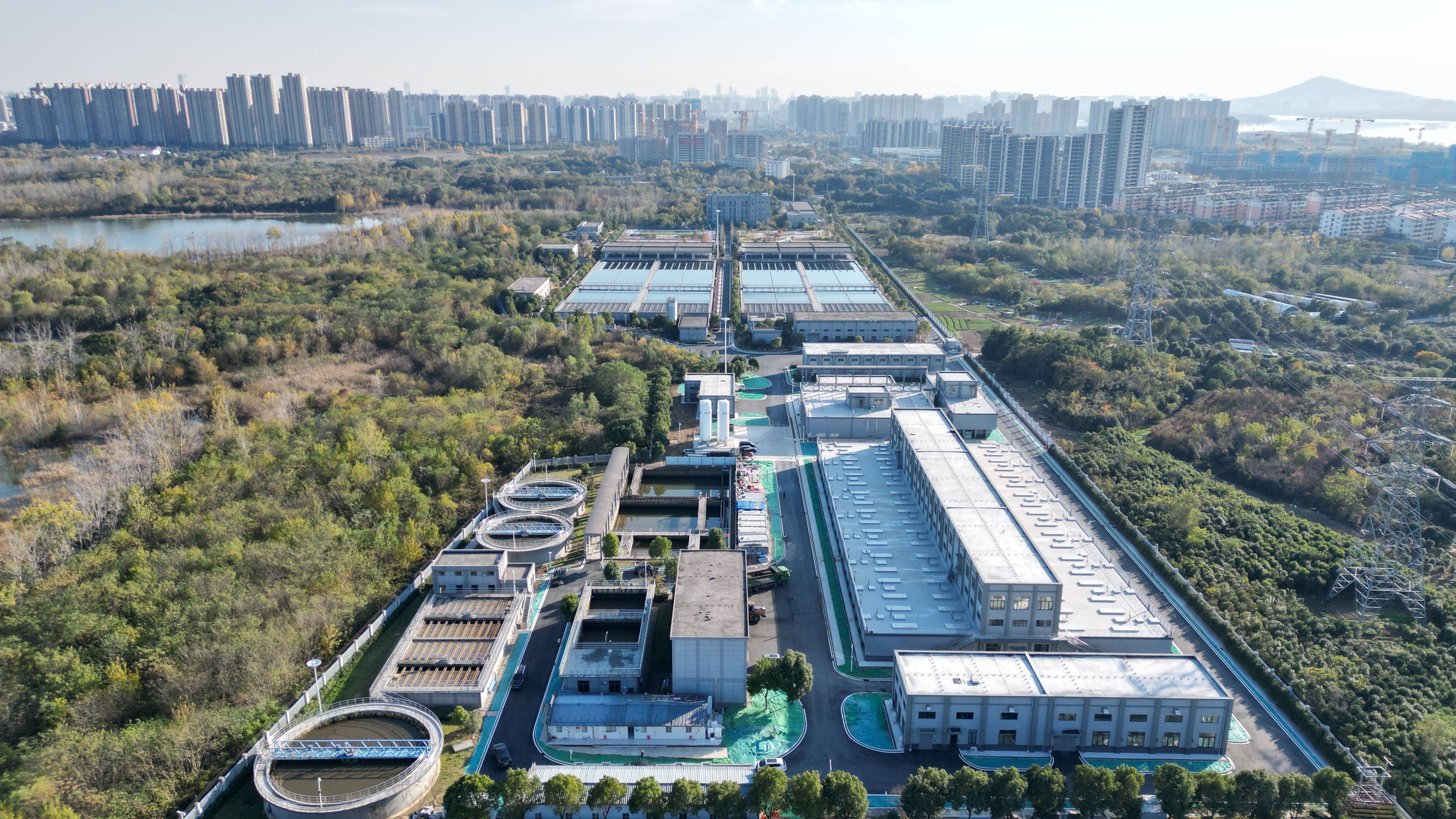 宁波市合肥专业企业价值增长(合肥市重点企业产业目录)