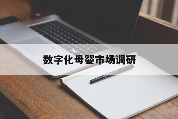宁波市数字化母婴市场调研(数字化母婴市场调研报告)